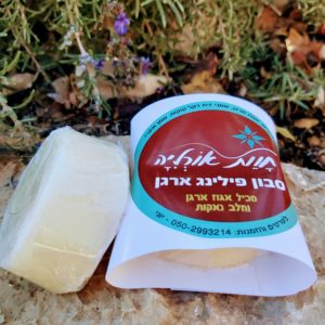 Argan soap for the body